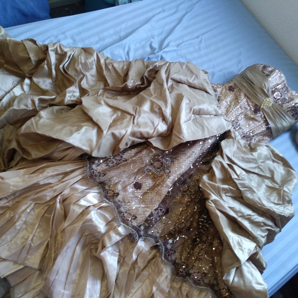 Vintage Gown